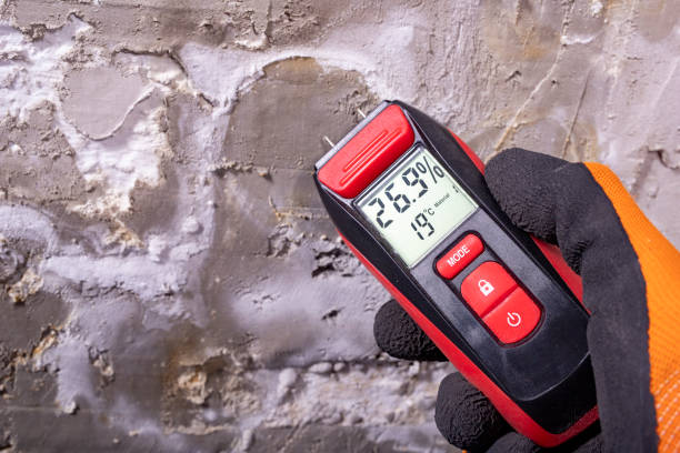Best Mold Remediation for Specific Building Types in Union City, IN