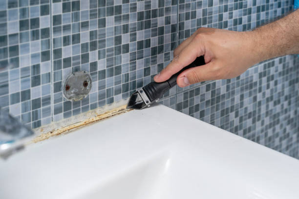 Best Residential Mold Remediation in Union City, IN